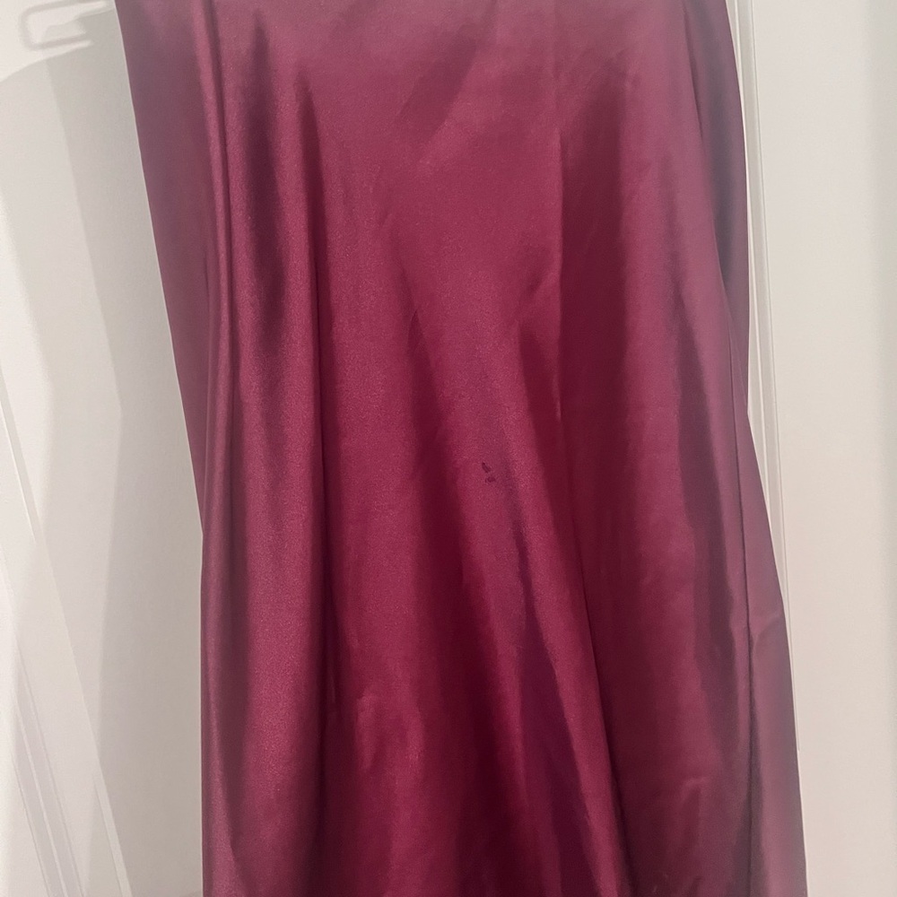 Zara Deep Burgundy Maxi Skirt - Picture 4 of 7